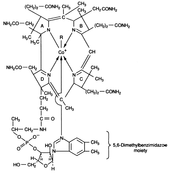 Rbc Synthesis